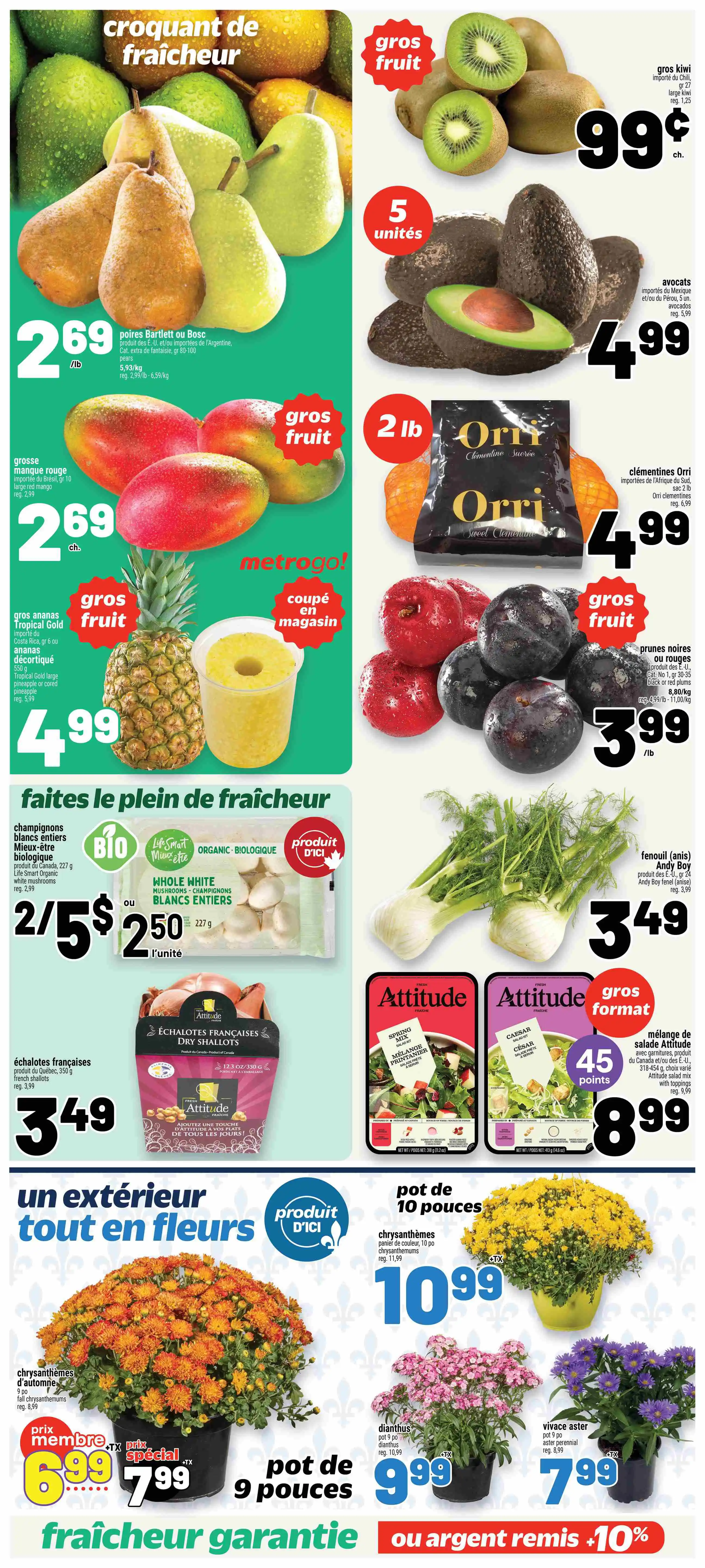 circulaire metro page 7